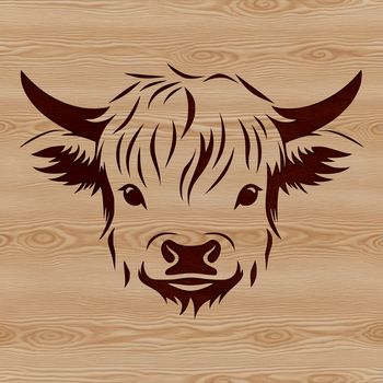 Highland cow with distinctive horns and shaggy coat
