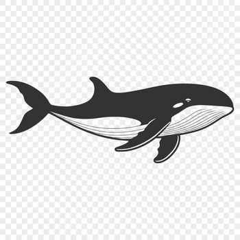 A detailed illustration of a whale in a vector format.