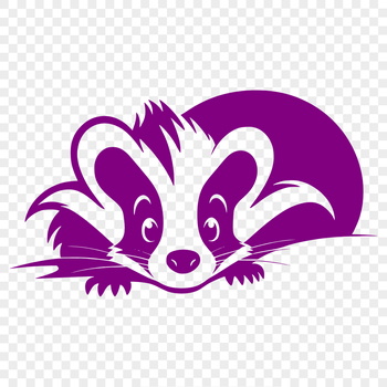 A wild animal skunk peeking out from behind a tree.