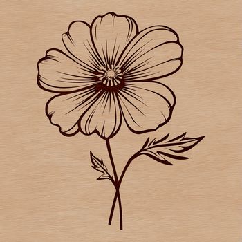 A detailed illustration of a wild flower with intricate petals and center, suitable for vector graphics and design.