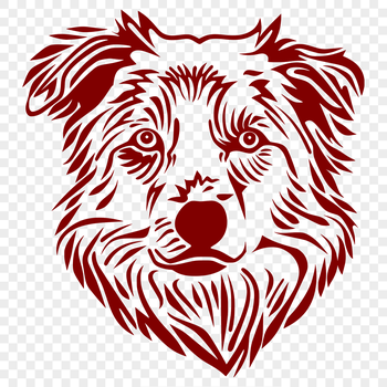 Illustration of a medium-sized Australian Shepherd dog with a distinctive head shape and facial features.