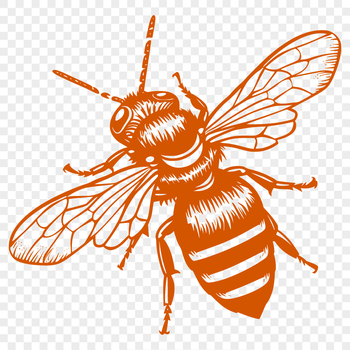 A full-body illustration of a bee, suitable for gardening projects or graphic design.