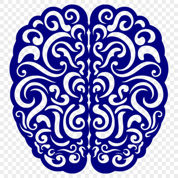 Anatomical illustration of the human brain in detailed vector format.