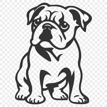 A standing bulldog in full body pose, suitable for vector art designs.