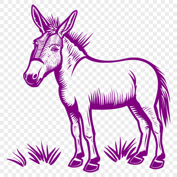 A standing donkey with its full body visible in an SVG format.