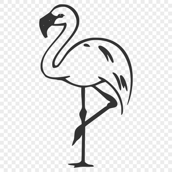 A single, standing flamingo bird in full body view.