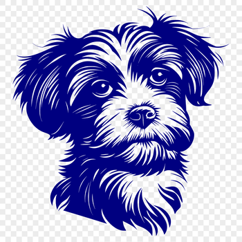 A close-up illustration of a Havanese dog's face with distinct features.