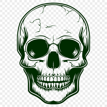A gothic-themed witch illustration featuring a skull motif with mystical symbols.