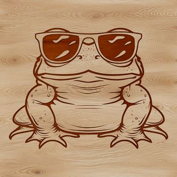 A cartoon illustration of a toad wearing sunglasses in a fun design style.