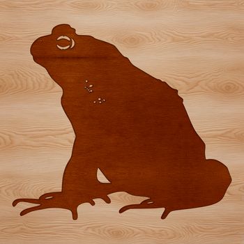 An illustration of a toad in its natural habitat.