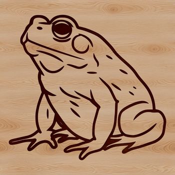 A simple line drawing of a toad in a minimalist design style.