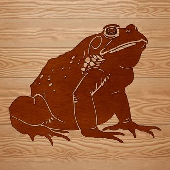 A detailed vector illustration of a toad in its natural habitat.