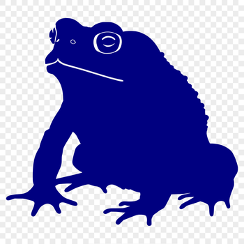 A full-body illustration of a toad in a simple vector format.