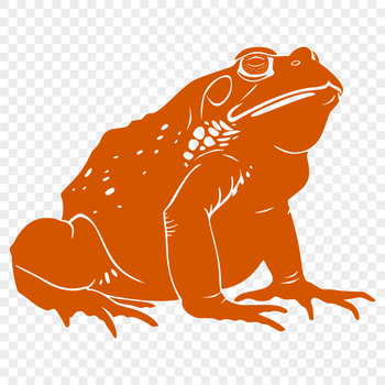 A colorful illustration of a full-body toad in a digital format.