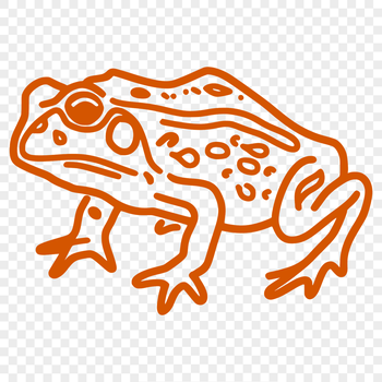 A detailed illustration of a toad's full body, created as an SVG vector graphic.