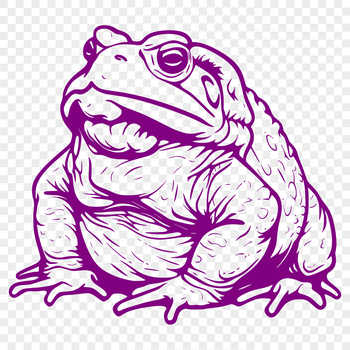 A detailed illustration of a toad's full body from various angles, suitable for vector art and graphic design projects.