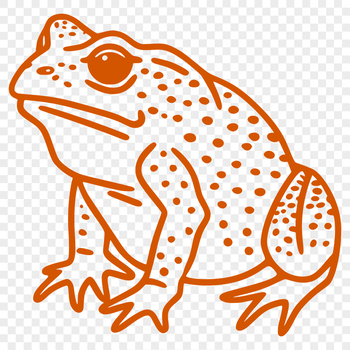 A colorful illustration of a toad in full body pose, suitable for vector art projects.