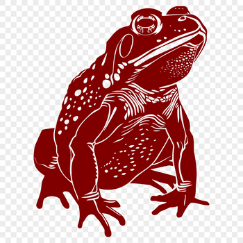 A detailed illustration of a toad in full body pose, created as an SVG vector art design.