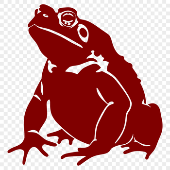 An SVG vector graphic featuring a toad from a front-facing perspective.