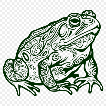 A detailed illustration of a toad in full body view.