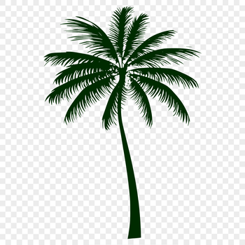 A single palm tree with a clear blue sky in the background.