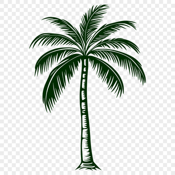 Palm Tree Vector Drawing In PDF File Format For Free Download