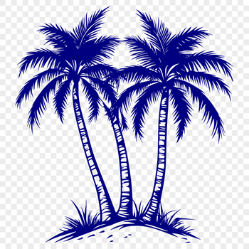 A single palm tree silhouette against a bright sky.