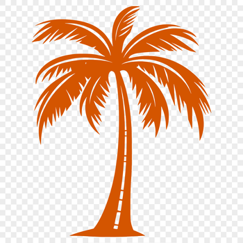 A single palm tree standing tall on a sandy beach.
