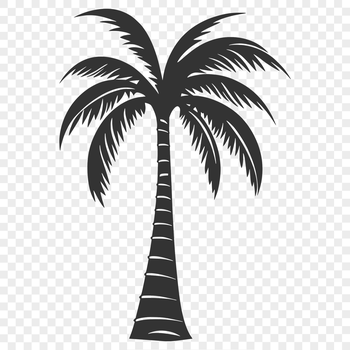 A single palm tree standing alone in a beach landscape.
