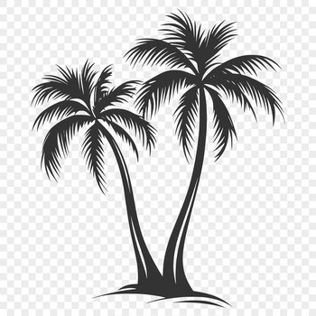 A stylized illustration of a palm tree, suitable for digital design projects.
