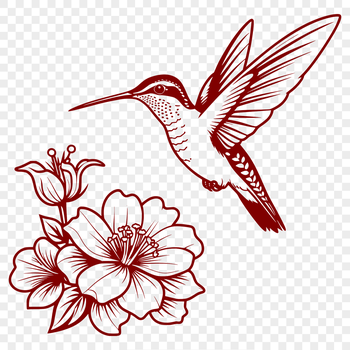 A vector graphic representation of a hummingbird, suitable for use as clip art or template in various design applications.