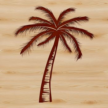 A single palm tree in a tropical landscape setting