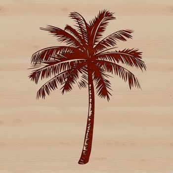 A single Palm Tree standing tall in a serene outdoor environment.