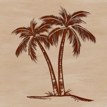 Illustrative representation of a single palm tree in a tropical setting.