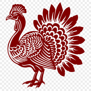 A detailed illustration of a turkey's full body from various angles, suitable for graphic design and digital printing.