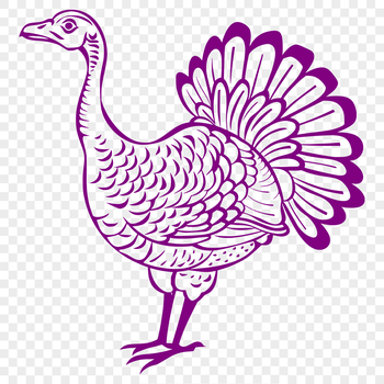 Illustration of a full-bodied farm animal turkey