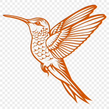 A stylized illustration of a hummingbird in mid-flight, showcasing its full body shape.