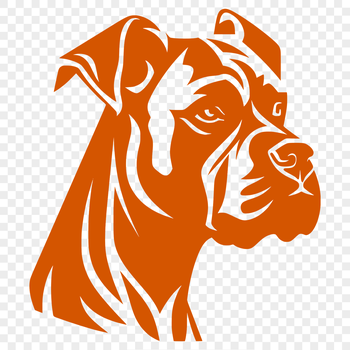 A detailed illustration of a Boxer dog's head with bold facial features.