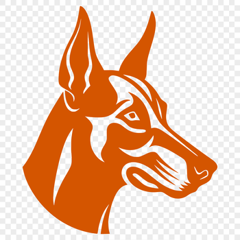 A close-up illustration of a Doberman Pinscher's head, featuring its distinctive features.