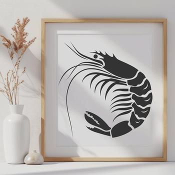 Unique Shrimp Drawing