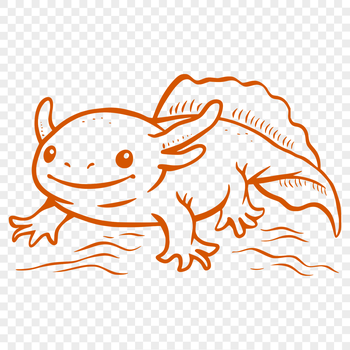 A digital representation of a Mexican axolotl in full body view, suitable for vector art and design projects.