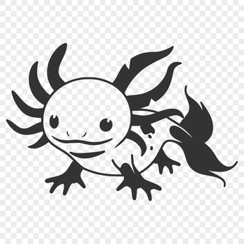An illustration of a Mexican salamander, also known as an Axolotl, in full body view.