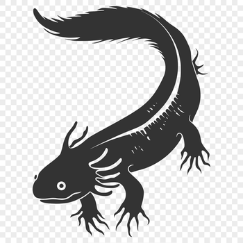 Close-up illustration of a Mexican axolotl's full body.