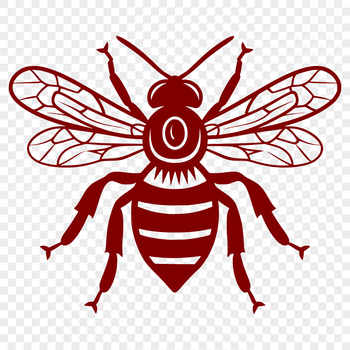 A detailed illustration of a bee from the front, showcasing its full body with intricate features.