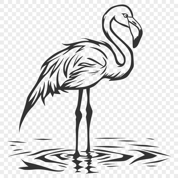 A full-body illustration of a flamingo bird standing in a natural habitat.