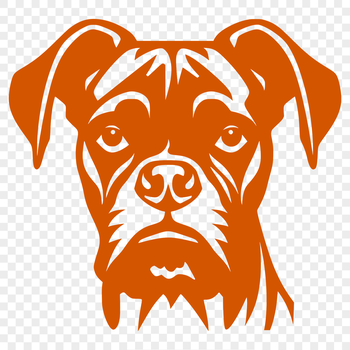 A detailed illustration of a Boxer dog's head from various angles, suitable for vector graphics.