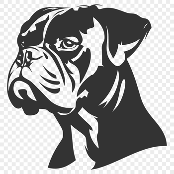 A detailed illustration of a Boxer dog's head, suitable for vector art and digital design projects.