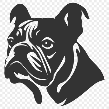 A close-up illustration of a bulldog's head with wrinkles and a distinctive facial expression.