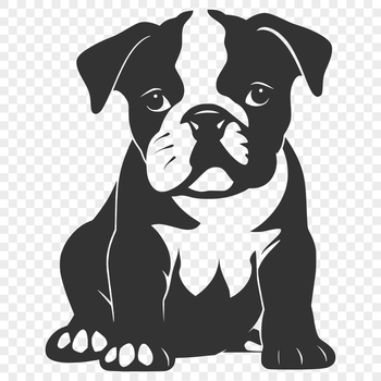 A small to medium-sized bulldog sitting on its hind legs with a calm expression.