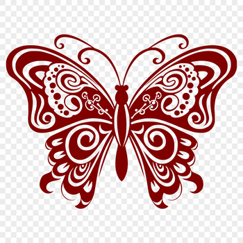 A detailed illustration of a butterfly in full body view.